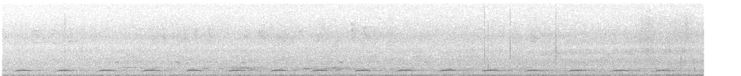 Wonga Pigeon - ML640217360