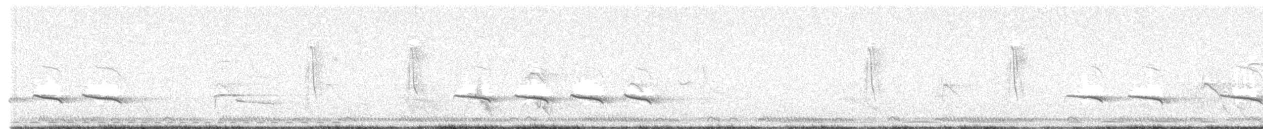 White-browed Scrub-Robin - ML640218849