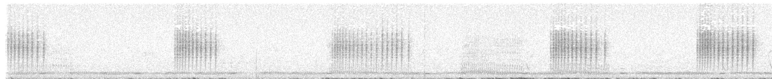 White-browed Scrub-Robin - ML640218850