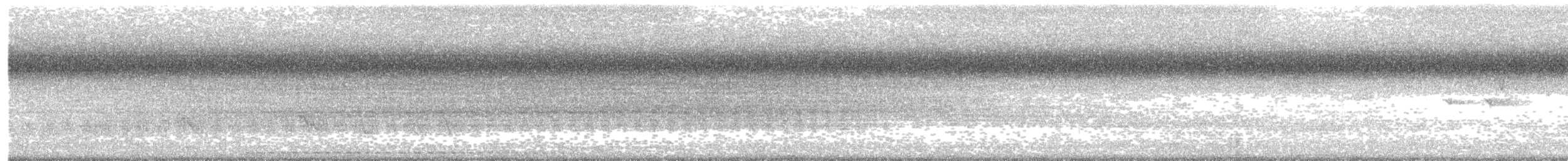 Eastern Screech-Owl - ML640219144
