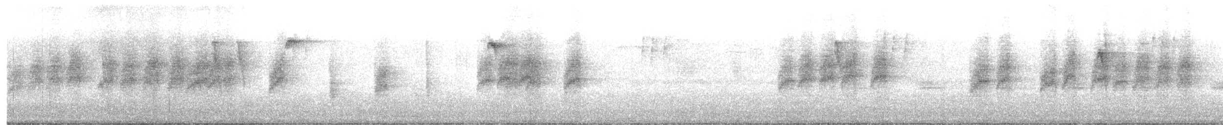 White-backed Black-Tit - ML640219477