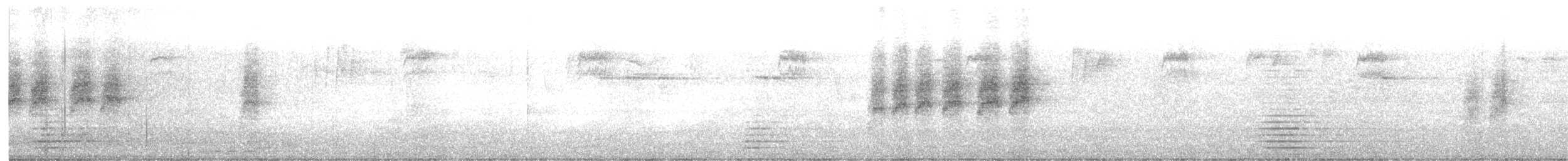 White-backed Black-Tit - ML640219479