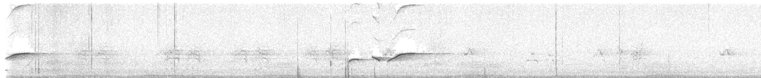 sørkrattskvett - ML640219733