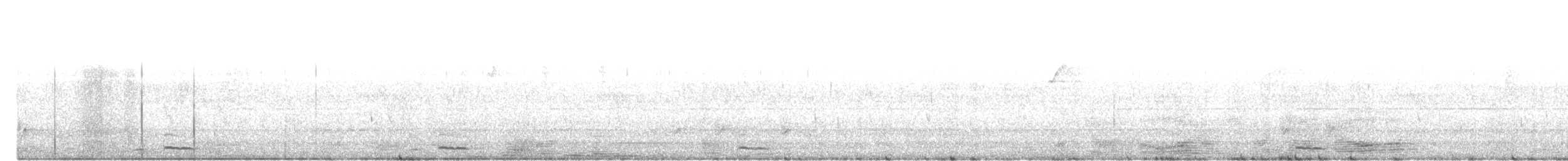 barbet čárkovaný - ML640220018