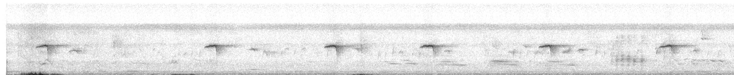 European Pied/Collared/Semicollared Flycatcher - ML640221756