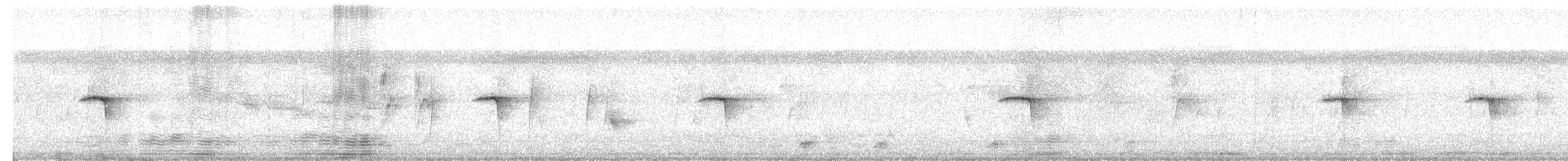 European Pied/Collared/Semicollared Flycatcher - ML640221757