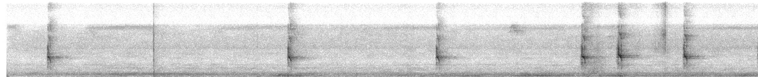 Syrian Woodpecker - ML640221997