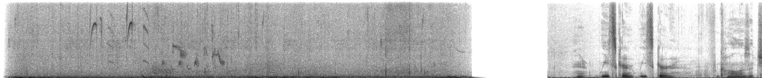Colibri cora - ML640226020