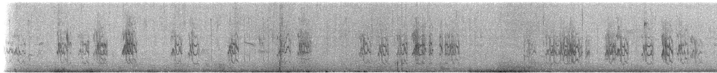 Mountain Parakeet - ML640226050