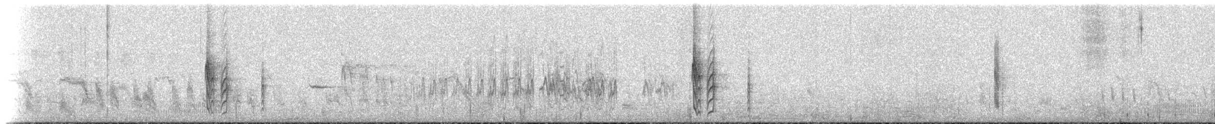Gray-and-white Tyrannulet - ML640226273
