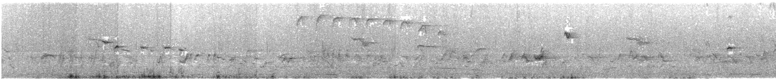 Bengalino comune - ML640228273
