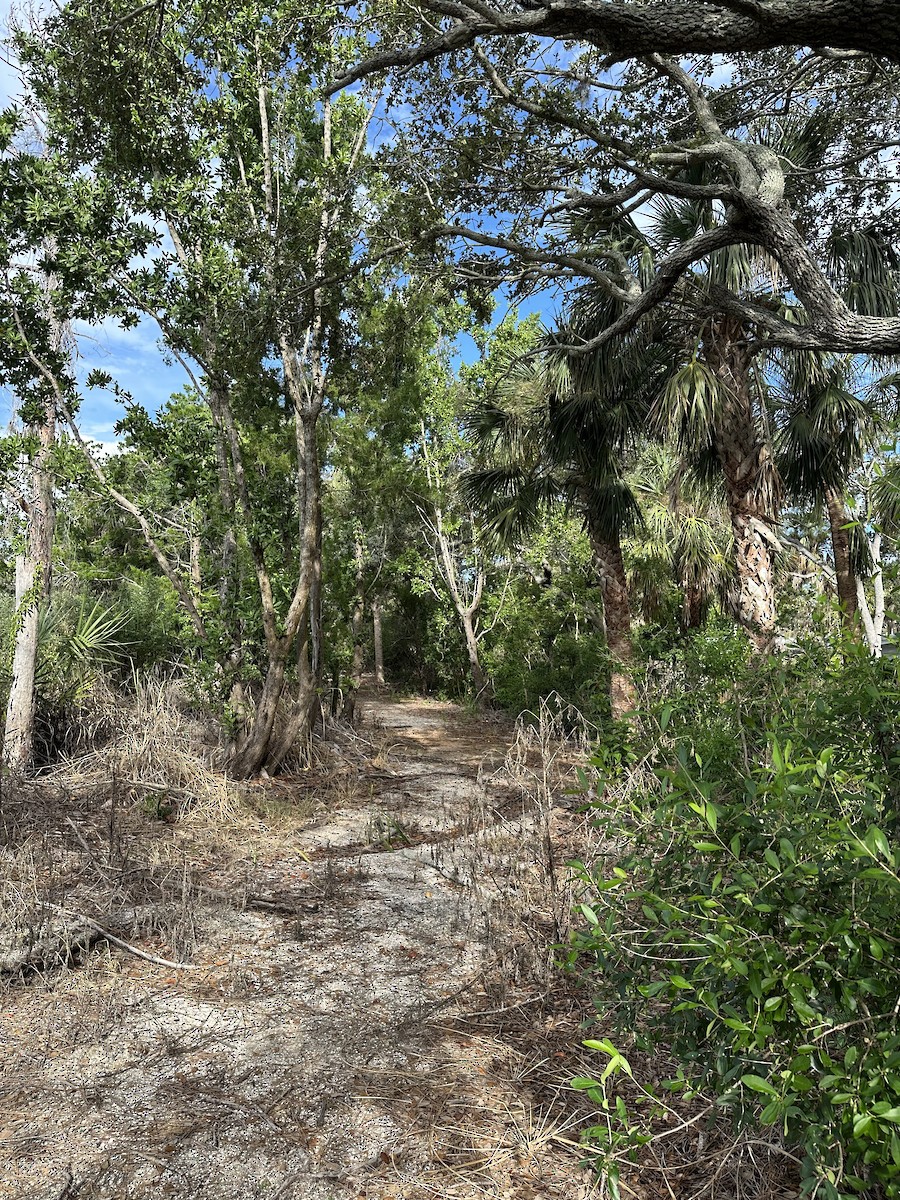null - ML640228423