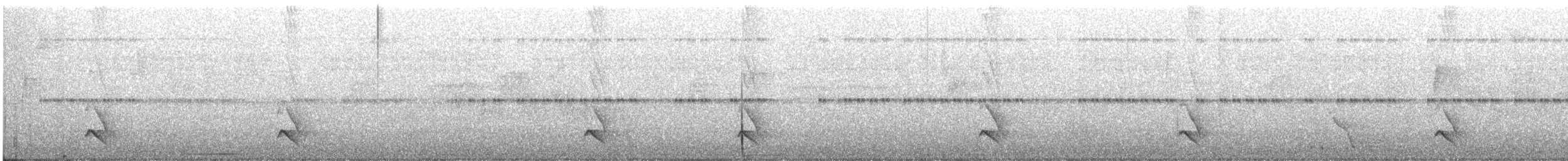 Plain Antvireo - ML640230072