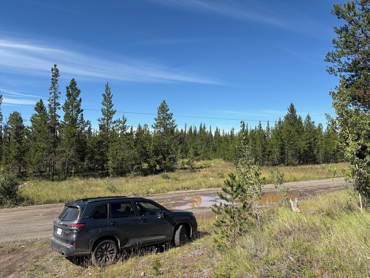 null - ML640233372
