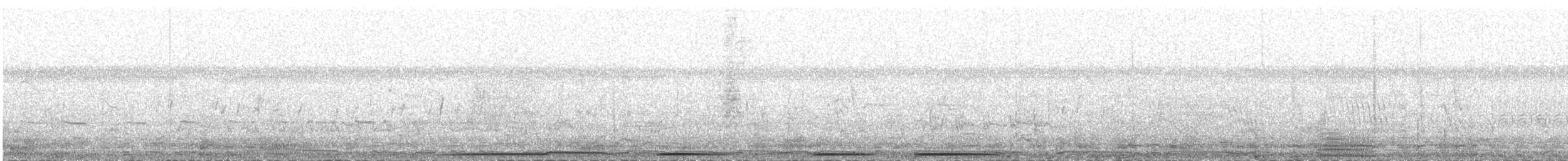 Zenaida Dove - ML640234872