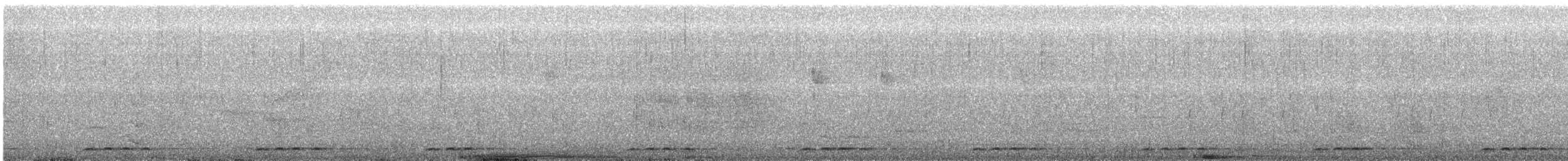 barbet čárkovaný - ML640234975