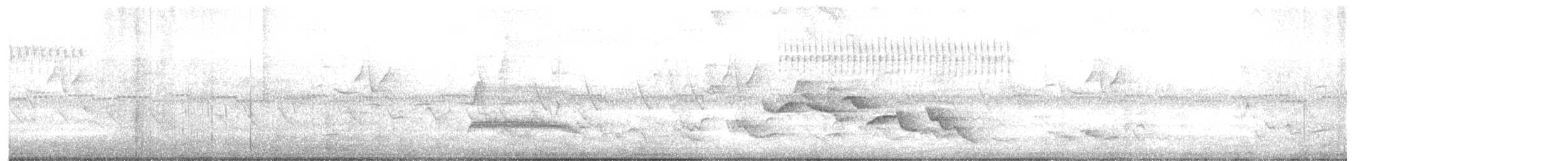 Troglodyte à poitrine tachetée - ML640235207