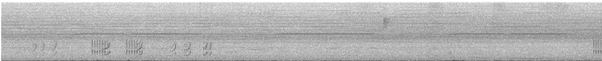 Yellow Tyrannulet - ML640235583