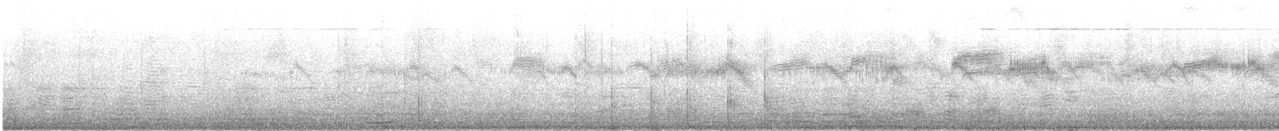 ミナミクロアマツバメ - ML640240494