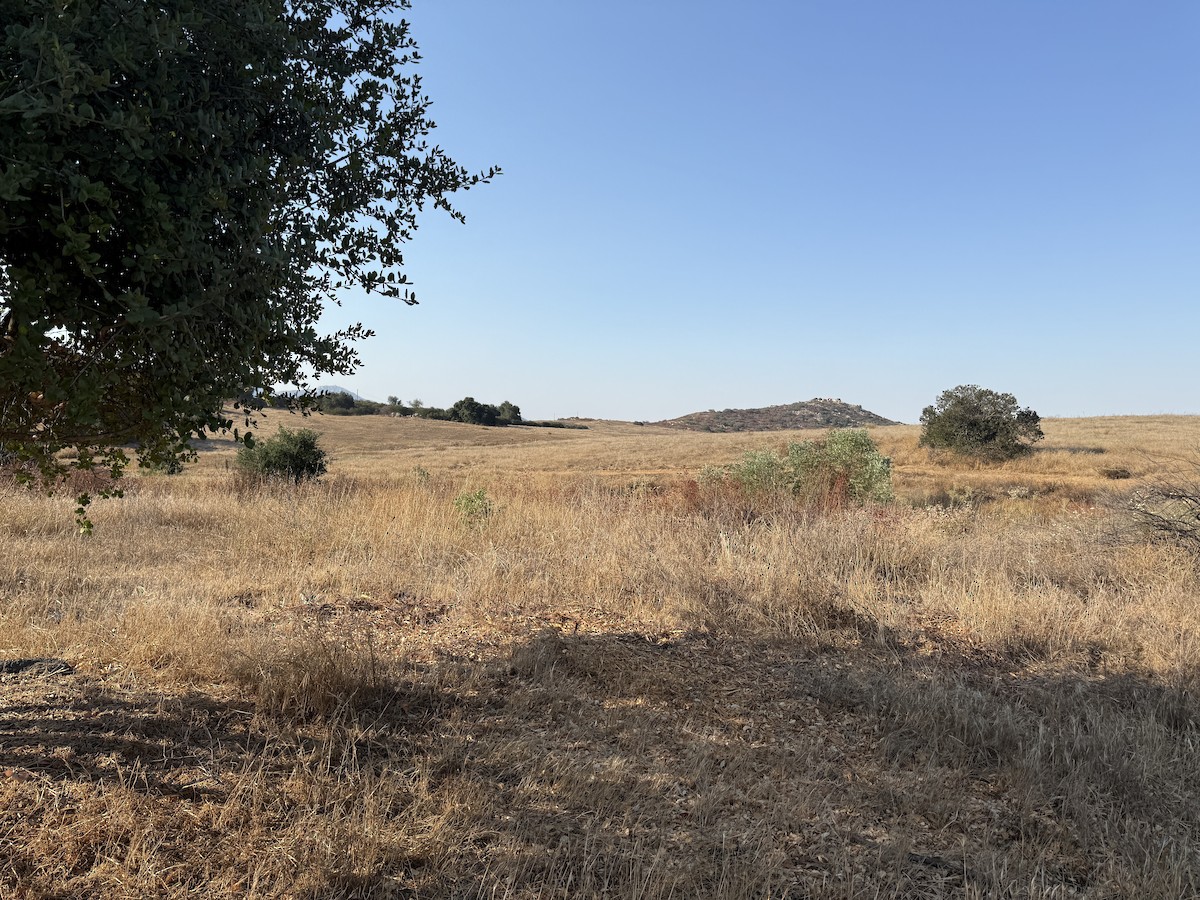 null - ML640242488