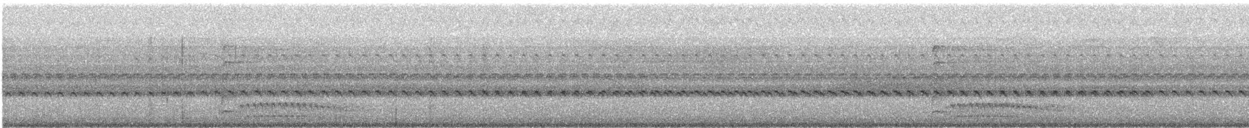 Lineated Woodpecker - ML640242565