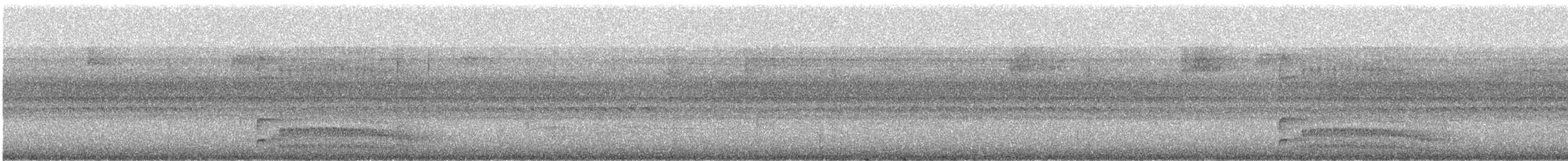 Lineated Woodpecker - ML640242639