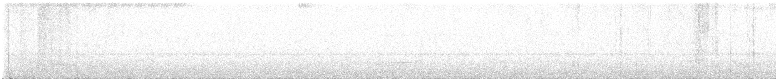 Short-tailed Antthrush - ML640243451