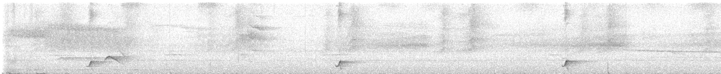 Short-tailed Antthrush - ML640243452