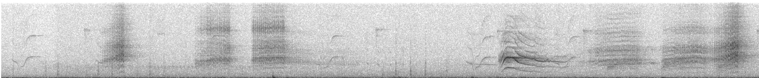 Buse à gros bec - ML640243614