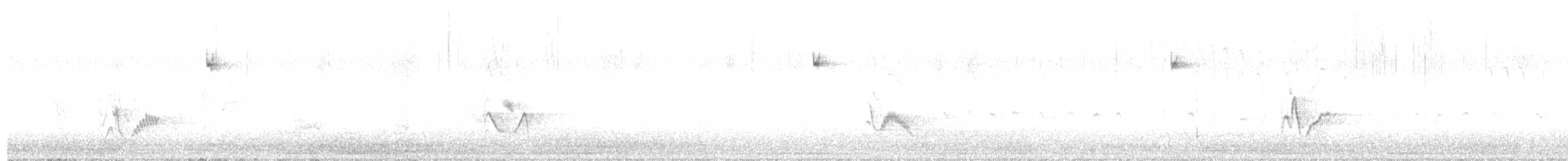 Plumbeous Vireo - ML640244122