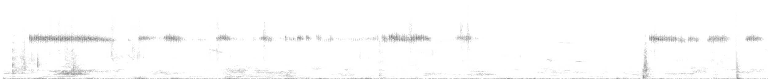 Broad-tailed Hummingbird - ML640244134