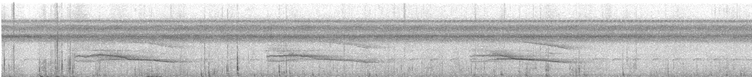 Gray-lined Hawk - ML640244167