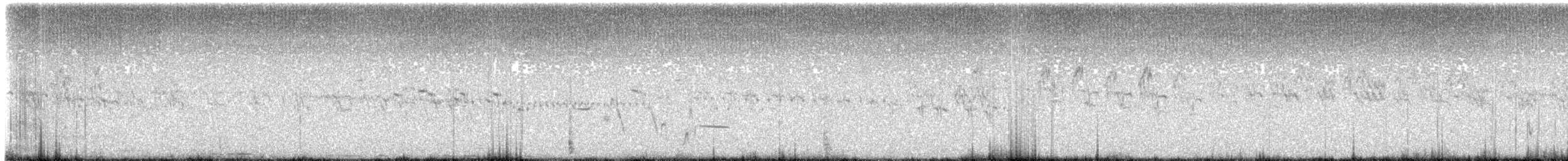Baird's Sparrow - ML640247704