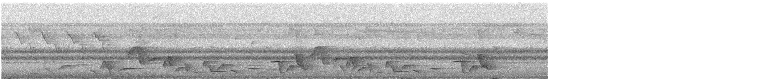 Whiskered Wren - ML640248076
