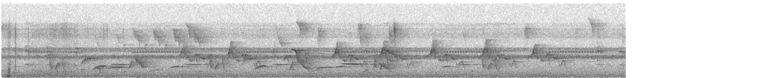 Whiskered Wren - ML640248376