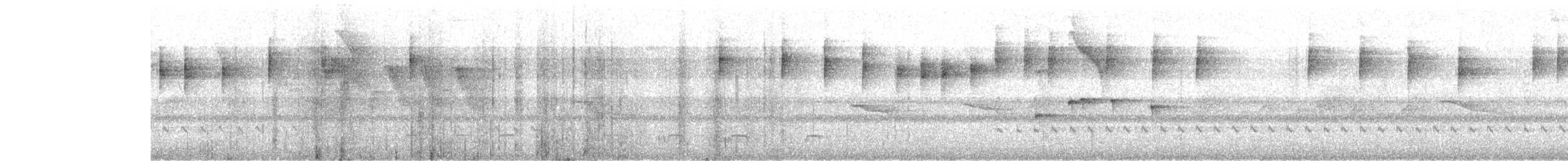 stripehodeparula - ML640248392