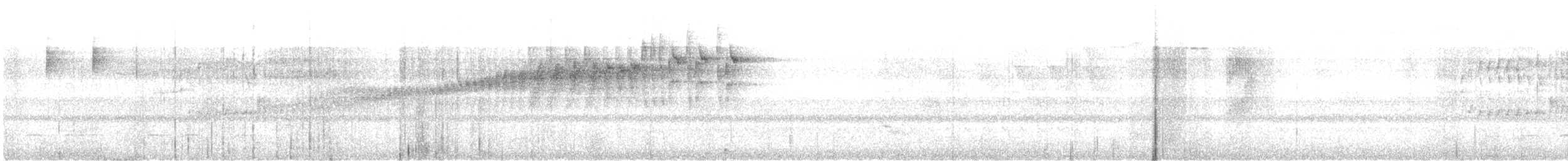 stripehodeparula - ML640248396