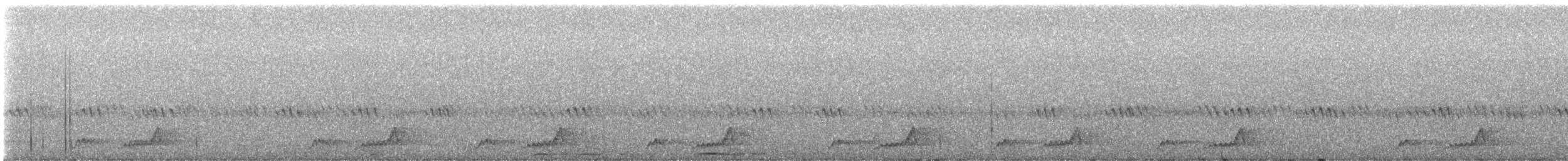 Mexican Whip-poor-will - ML640248591