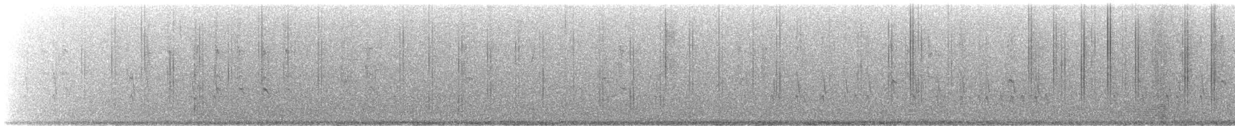 Cassia Crossbill - ML640248815
