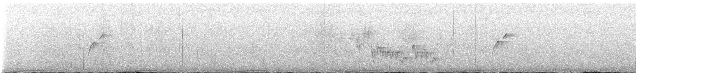 Band-tailed Pigeon - ML640248880