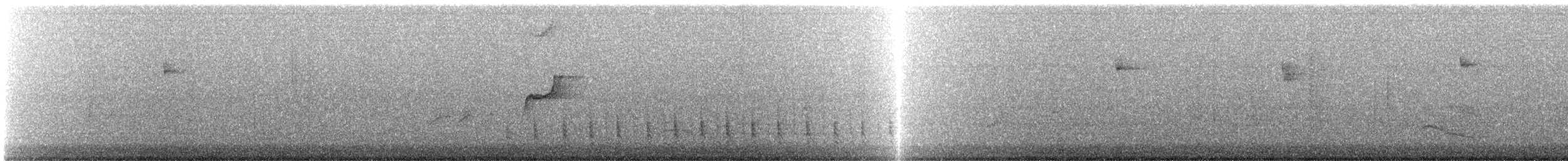 Western Flycatcher (Pacific-slope) - ML640249487
