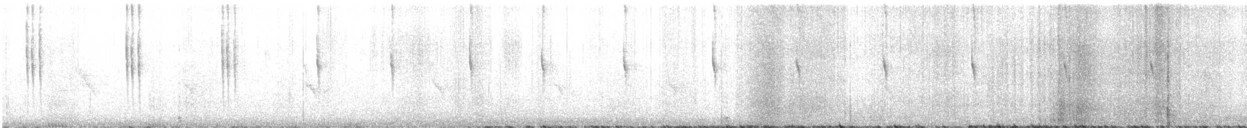 Rivoli's Hummingbird - ML640250380