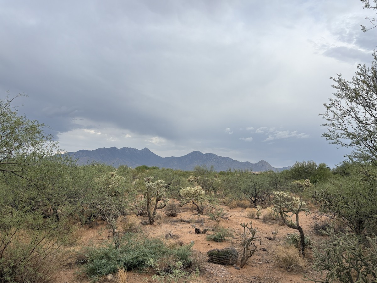 null - ML640252078