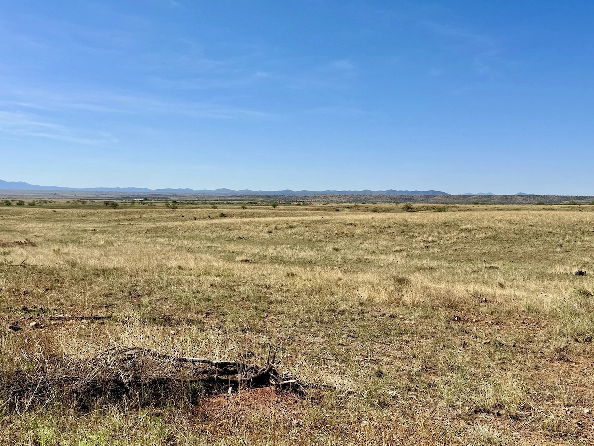 null - ML640253178