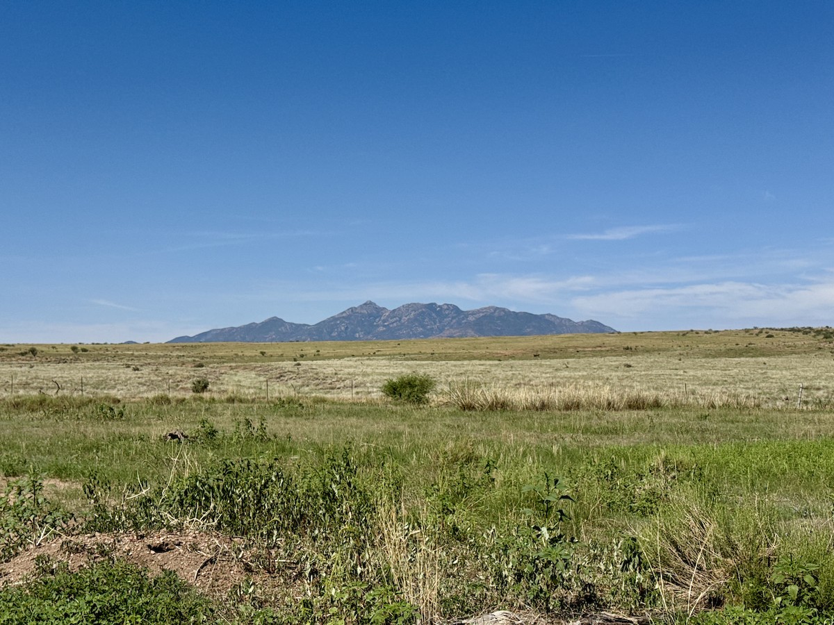 null - ML640253223