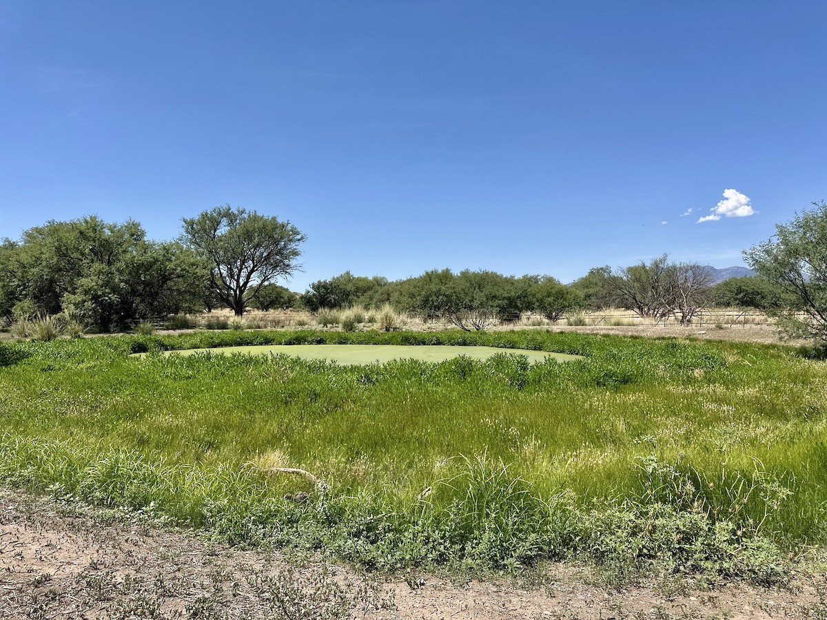 null - ML640253584