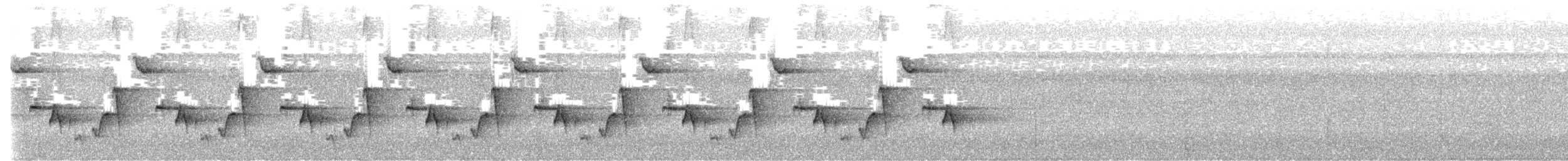 Riverside Wren - ML640253987