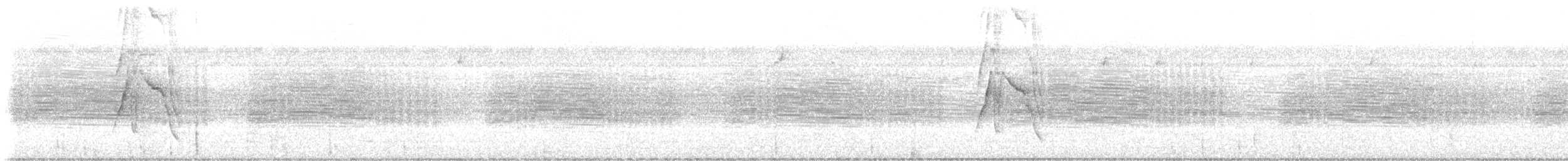 Sulphur-bellied Flycatcher - ML640254488