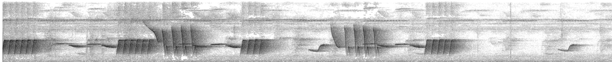 Troglodyte à calotte noire - ML640255182