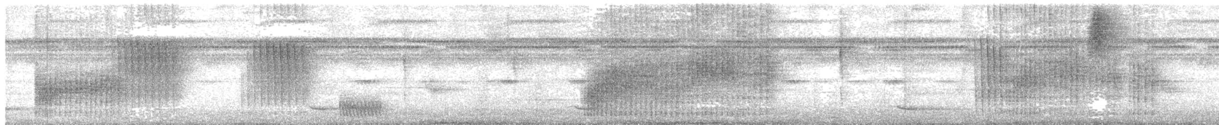 Troglodyte à calotte noire - ML640255183